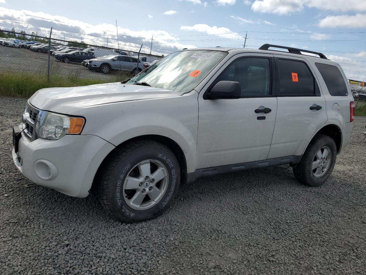 FORD ESCAPE XLT 2011