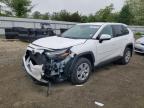 TOYOTA RAV4 2024