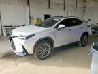 LEXUS NX 2023