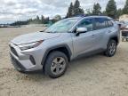 TOYOTA RAV4 2024