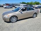 TOYOTA CAMRY 2009