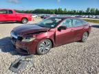 HONDA INSIGHT 2019