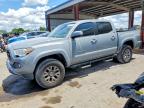 TOYOTA TACOMA 2019