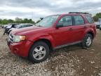 FORD ESCAPE 2010