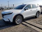 HONDA CR-V 2024