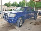 TOYOTA TACOMA 2006