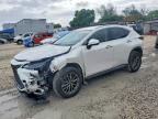 LEXUS NX 2023