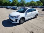 KIA RIO 2023