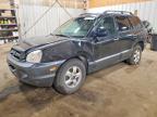 HYUNDAI SANTA FE 2005
