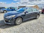 HYUNDAI SONATA 2019