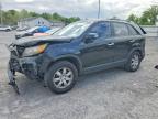 KIA SORENTO 2011