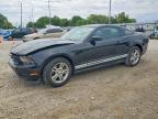 FORD MUSTANG 2011