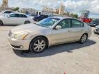 NISSAN MAXIMA 2005