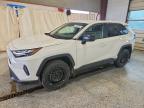 TOYOTA RAV4 2025
