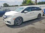 HONDA ODYSSEY 2019