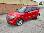 KIA SOUL 2013