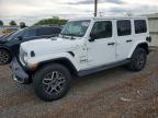 JEEP WRANGLER 2024