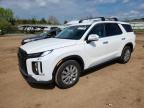 HYUNDAI PALISADE 2024