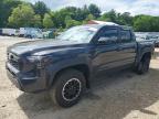 TOYOTA TACOMA 2024