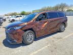 TOYOTA SIENNA 2022