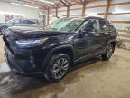 TOYOTA RAV4 2023