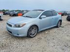 SCION TC 2005