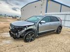 KIA NIRO 2026