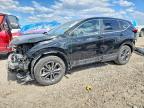 HONDA CR-V 2021