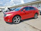 TOYOTA VENZA 2010