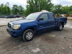 TOYOTA TACOMA 2005