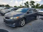 TOYOTA CAMRY 2013