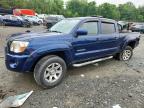 TOYOTA TACOMA 2006