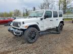 JEEP WRANGLER 2024