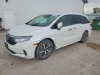 HONDA ODYSSEY 2022