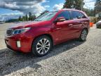 KIA SORENTO 2014