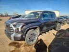 TOYOTA TUNDRA 2023