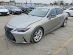 LEXUS IS 2023