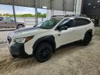 SUBARU OUTBACK 2024