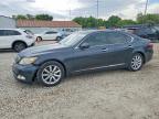 LEXUS LS 2007
