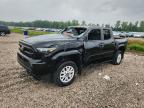 TOYOTA TACOMA 2024