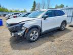 HONDA CR-V 2024