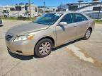 TOYOTA CAMRY 2009