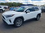TOYOTA RAV4 2024