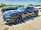 FORD MUSTANG 2019