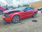 FORD MUSTANG 2006