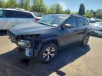 JEEP CHEROKEE 2017