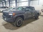 TOYOTA TACOMA 2024