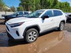 TOYOTA RAV4 2023
