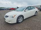 NISSAN ALTIMA 2011