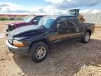 DODGE DAKOTA 2004